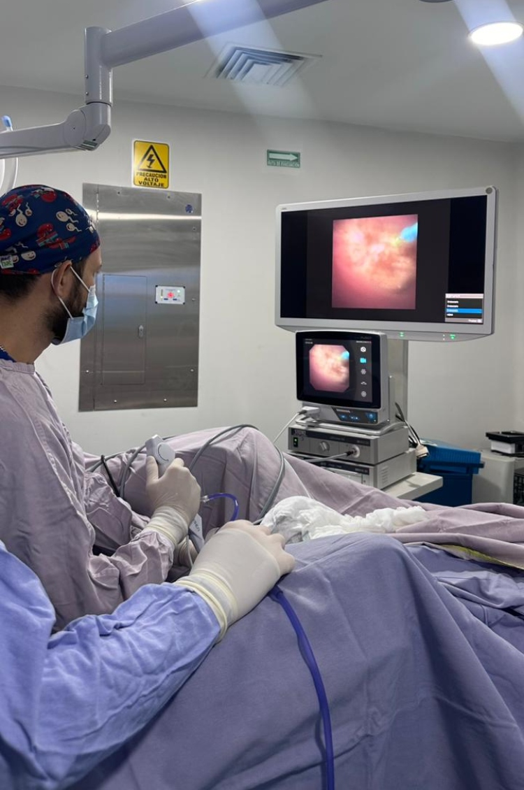 especialista urologo